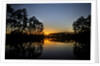 Sunset in Long Pine area of Everglades NP by Anonymous