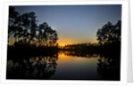 Sunset in Long Pine area of Everglades NP by Anonymous
