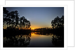 Sunset in Long Pine area of Everglades NP by Anonymous