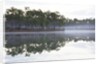 Fog over the lake in Long Pine area of Everglades NP by Anonymous