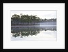 Fog over the lake in Long Pine area of Everglades NP by Anonymous