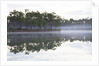 Fog over the lake in Long Pine area of Everglades NP by Anonymous