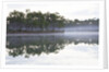 Fog over the lake in Long Pine area of Everglades NP by Anonymous