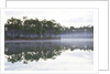 Fog over the lake in Long Pine area of Everglades NP by Anonymous