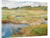 The Concord Meadow, Concord, Massachusetts by Childe Hassam