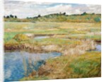 The Concord Meadow, Concord, Massachusetts by Childe Hassam