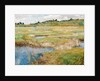 The Concord Meadow, Concord, Massachusetts by Childe Hassam