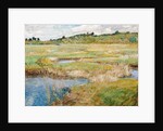 The Concord Meadow, Concord, Massachusetts by Childe Hassam