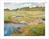 The Concord Meadow, Concord, Massachusetts by Childe Hassam