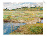 The Concord Meadow, Concord, Massachusetts by Childe Hassam