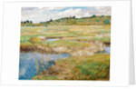 The Concord Meadow, Concord, Massachusetts by Childe Hassam
