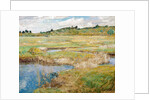 The Concord Meadow, Concord, Massachusetts by Childe Hassam