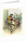 A Frog He Would A Wooing Go, Children's book Illustration by Anonymous