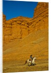 Cowgirl riding the range by Anonymous