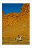 Cowgirl riding the range by Anonymous