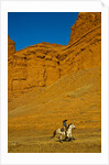 Cowgirl riding the range by Anonymous