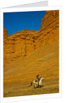 Cowgirl riding the range by Anonymous