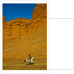 Cowgirl riding the range by Anonymous
