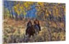 Cowgirl and cowboy riding together by Anonymous