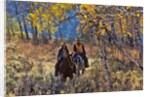 Cowgirl and cowboy riding together by Anonymous