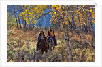 Cowgirl and cowboy riding together by Anonymous