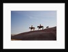 Cowgirls and dogs along the ridge of The Painted Hills by Anonymous
