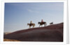 Cowgirls and dogs along the ridge of The Painted Hills by Anonymous