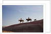 Cowgirls and dogs along the ridge of The Painted Hills by Anonymous