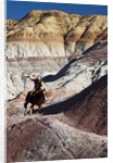 Cowboy in The Painted Hills by Anonymous