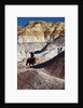 Cowboy in The Painted Hills by Anonymous
