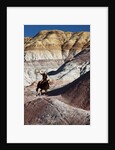 Cowboy in The Painted Hills by Anonymous