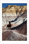 Cowboy in The Painted Hills by Anonymous