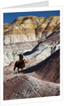 Cowboy in The Painted Hills by Anonymous