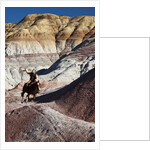 Cowboy in The Painted Hills by Anonymous