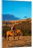 Cowboy riding the range by Anonymous
