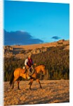 Cowboy riding the range by Anonymous