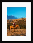 Cowboy riding the range by Anonymous