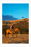 Cowboy riding the range by Anonymous