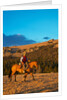 Cowboy riding the range by Anonymous
