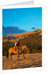 Cowboy riding the range by Anonymous