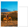 Cowboy riding the range by Anonymous