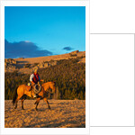 Cowboy riding the range by Anonymous