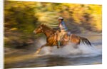 Cowgirl riding through river on a horse by Anonymous