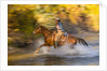 Cowgirl riding through river on a horse by Anonymous