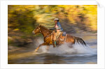 Cowgirl riding through river on a horse by Anonymous