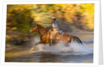 Cowgirl riding through river on a horse by Anonymous