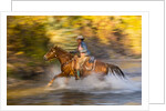 Cowgirl riding through river on a horse by Anonymous