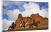 Riders passing under the Red Rock Hills of the Big Horn Mountains by Anonymous