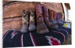 Boots and Blankets by Anonymous