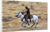 Cowboy riding the range by Anonymous